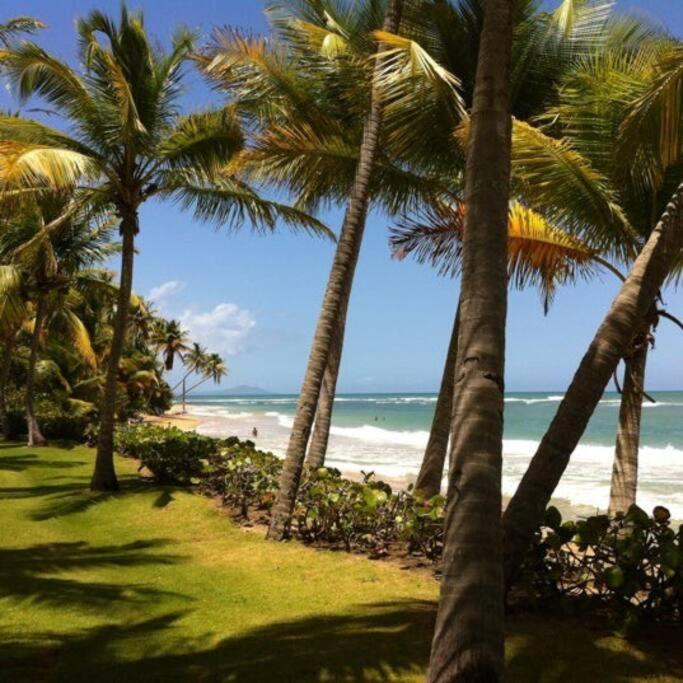 Appartamento Beach Access + 3 Pools + Ocean Views - 2Br In Palmas - Sleeps 7 Humacao Esterno foto